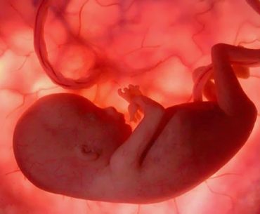 Ayat-Ayat Tentang Tujuan & Hikmah Penciptaan Manusia Ayat-Ayat Tentang Tujuan & Hikmah Penciptaan Manusia