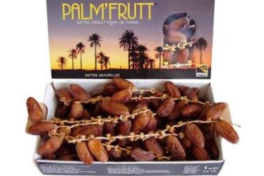 Kurma di Indonesia Berasal dari Berbagai Negara. Apa Bedanya?