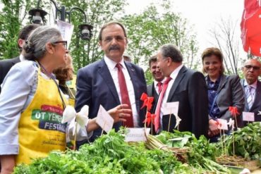 Festival Ini Menyajikan Makanan dari Puluhan Tumbuhan yang Ada di Turki