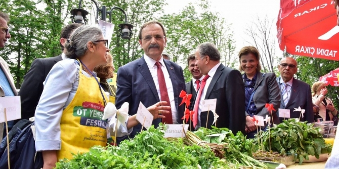 Festival Ini Menyajikan Makanan dari Puluhan Tumbuhan yang Ada di Turki