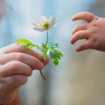 Jaga Kehormatanmu dengan Cara Ini