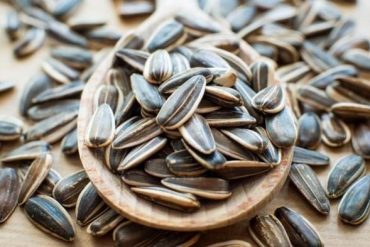 Kuaci, Kecil-Kecil Bergizi Hebat