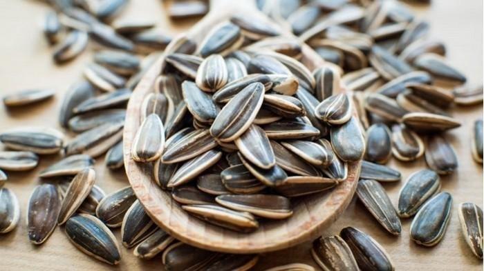 Kuaci, Kecil-Kecil Bergizi Hebat