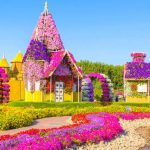 Memegang Rekor Dunia, Yuk Intip Dubai Miracle Garden yang Warna-Warni