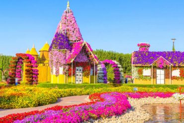 Memegang Rekor Dunia, Yuk Intip Dubai Miracle Garden yang Warna-Warni