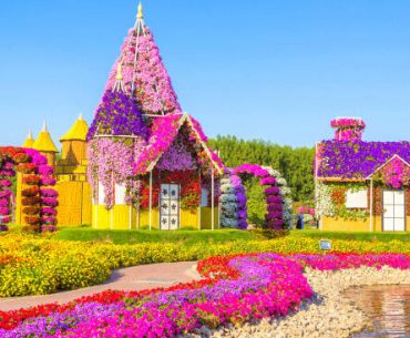 Memegang Rekor Dunia, Yuk Intip Dubai Miracle Garden yang Warna-Warni