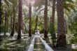 Mengunjungi Al Ain, Oasis di Tengah Padang Pasir