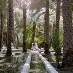 Mengunjungi Al Ain, Oasis di Tengah Padang Pasir