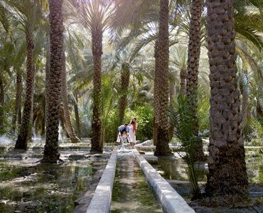 Mengunjungi Al Ain, Oasis di Tengah Padang Pasir