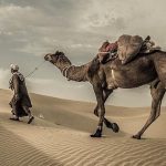 Baiknya Pribadi Rasulullah, Bahkan Musuhnya Mengakuinya