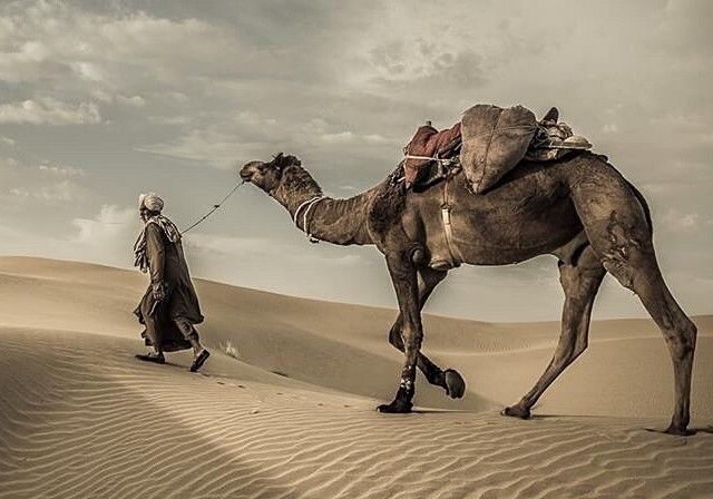 Baiknya Pribadi Rasulullah, Bahkan Musuhnya Mengakuinya