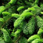 Terungkap! 5 Kebiasaan Ini adalah Resep Panjang Umur