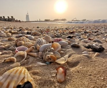 Suka Kerang? Pantai-Pantai Ini Memiliki Banyak Kerang yang Cantik