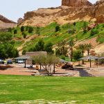 Beda Banget! Tempat di UEA Ini Subur dan Hijau