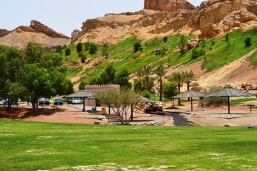 Beda Banget! Tempat di UEA Ini Subur dan Hijau