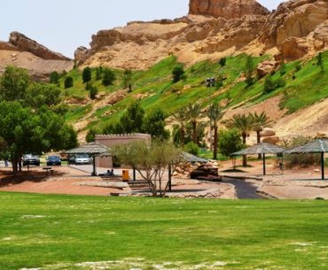 Beda Banget! Tempat di UEA Ini Subur dan Hijau