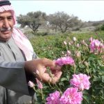 Wajib Tahu! Kota di Arab Saudi Ini Dikenal sebagai Kota Wisata karena Hawa Sejuknya