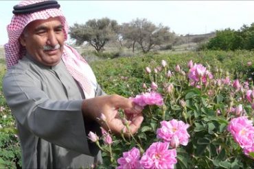 Wajib Tahu! Kota di Arab Saudi Ini Dikenal sebagai Kota Wisata karena Hawa Sejuknya