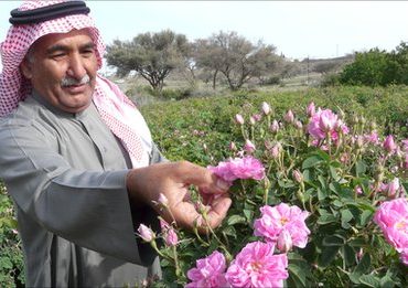 Wajib Tahu! Kota di Arab Saudi Ini Dikenal sebagai Kota Wisata karena Hawa Sejuknya