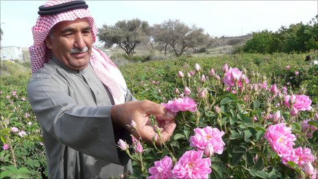 Wajib Tahu! Kota di Arab Saudi Ini Dikenal sebagai Kota Wisata karena Hawa Sejuknya