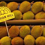 Hotel Ramah Durian Ini Tidak Melarang Tamunya Membawa Durian