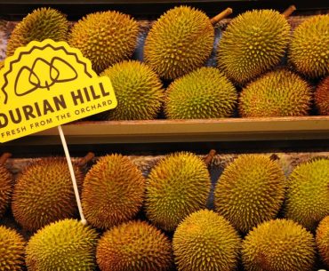 Hotel Ramah Durian Ini Tidak Melarang Tamunya Membawa Durian Hotel Ramah Durian Ini Tidak Melarang Tamunya Membawa Durian