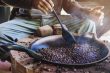 Negara untuk Para Penikmat Kopi