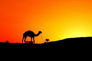 Kisah Abu Umamah Menyebarkan Islam kepada Kaumnya