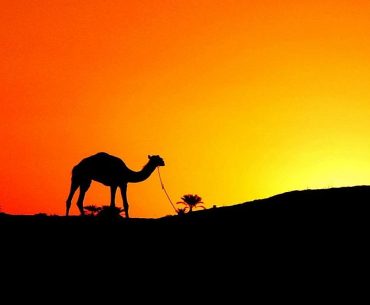 Kisah Abu Umamah Menyebarkan Islam kepada Kaumnya