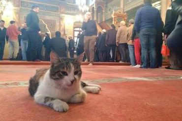 Abu Hurairah: Bersemangat Menimba Ilmu, Hingga Meriwayatkan Banyak Hadist