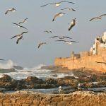 Anda Benar-Benar Harus Mengunjungi Essaouira di Maroko