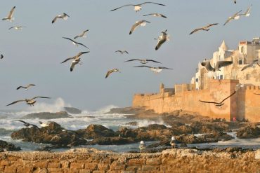 Anda Benar-Benar Harus Mengunjungi Essaouira di Maroko