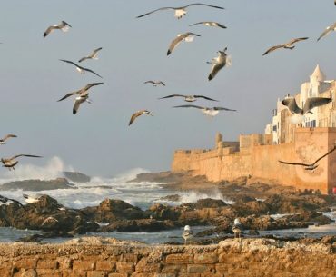 Anda Benar-Benar Harus Mengunjungi Essaouira di Maroko Anda Benar-Benar Harus Mengunjungi Essaouira di Maroko