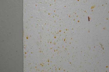 Membersihkan Dinding dari Noda Bisa dengan Cara Sederhana Ini