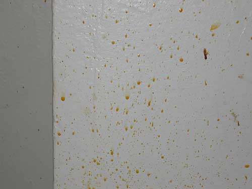 Membersihkan Dinding dari Noda Bisa dengan Cara Sederhana Ini