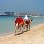 Aman dan Nyaman, 6 Negara Ini Cocok bagi Solo Traveler