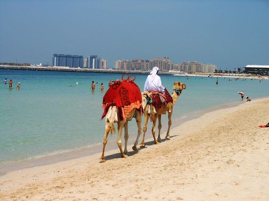 Aman dan Nyaman, 6 Negara Ini Cocok bagi Solo Traveler