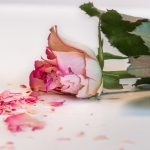 Jangan Dipelihara! Ini Ruginya Membenci