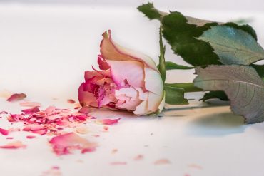 Jangan Dipelihara! Ini Ruginya Membenci