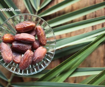 Kebun Kurma Madinah kebun kurma madinah
