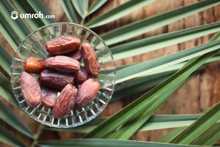 Kebun Kurma Madinah kebun kurma madinah