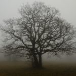 pembagian hari kiamat