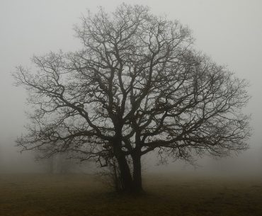 pembagian hari kiamat