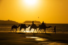 kisah keajaiban puasa daud