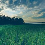 dalil tentang fitnah