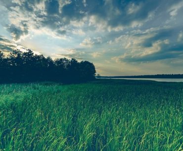 dalil tentang fitnah