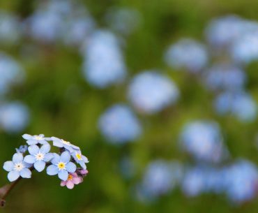 cara membayar utang puasa