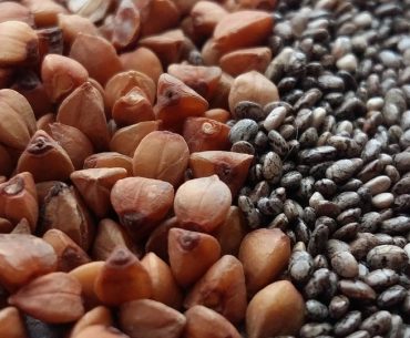 Selain Banyak Nutrisi, Ini Dia 5 Menu Sahur Untuk Diet menu sahur untuk diet