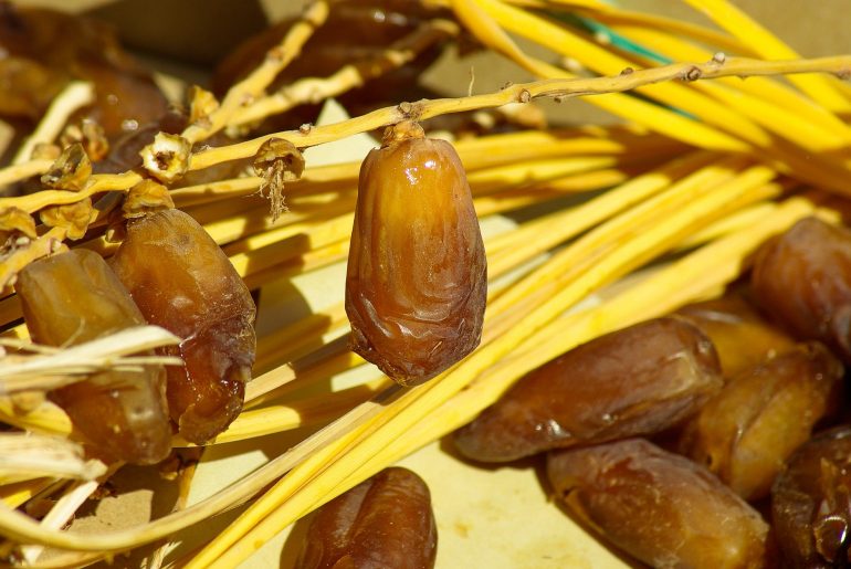 Takjil Kurma, Menu Buka Puasa Terbaik takjil kurma