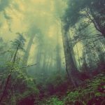 ucapan mendengar musibah